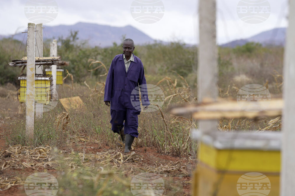 Kenya World Elephant Day