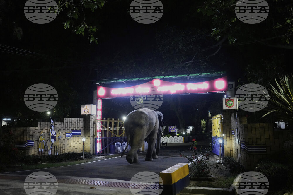 India World Elephant Day Photo Gallery