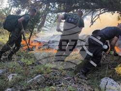 Снимка: Министерство на отбраната