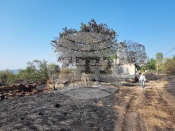 Село Скала - община Сунгурларе - пожар