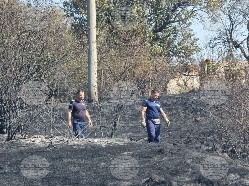 Пожарът в Сунгурларско е овладян 
