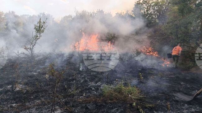 Огнеборци, горски служители и доброволци участваха в потушаването на пожари в ловешките села Къкрина и Радювене