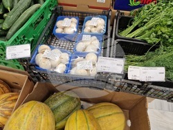 Велико Търново - цени - лев-евро