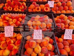 Велико Търново - цени - лев-евро