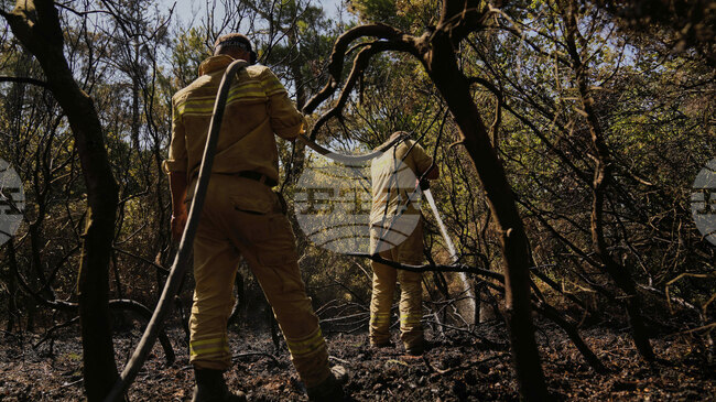 Един човек загина, а други четирима бяха ранени след преобръщане на пожарникарски камион в Османие, Източна Турция
