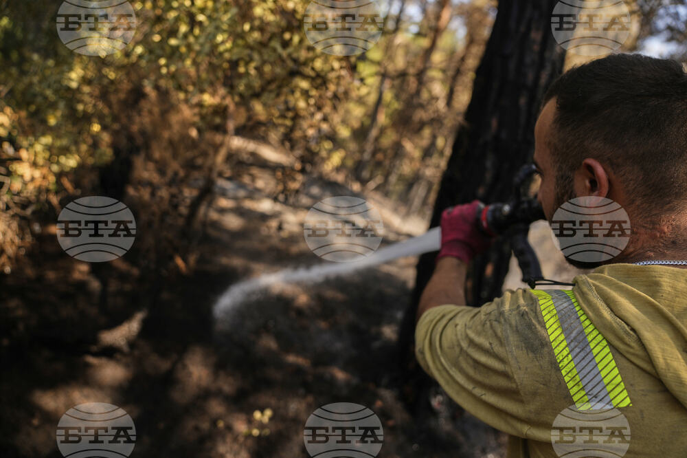 Turkey Wildfires