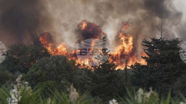 Бързо разпространил се горски пожар на полуостров Пелопонес в Западна Гърция доведе до евакуация на местните жители