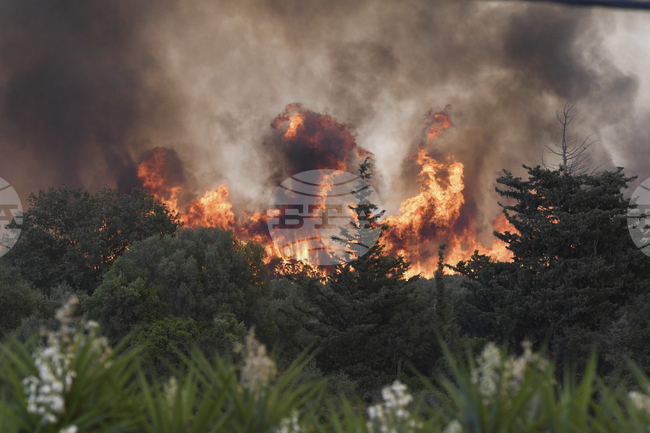 Бързо разпространил се горски пожар на полуостров Пелопонес в Западна Гърция доведе до евакуация на местните жители