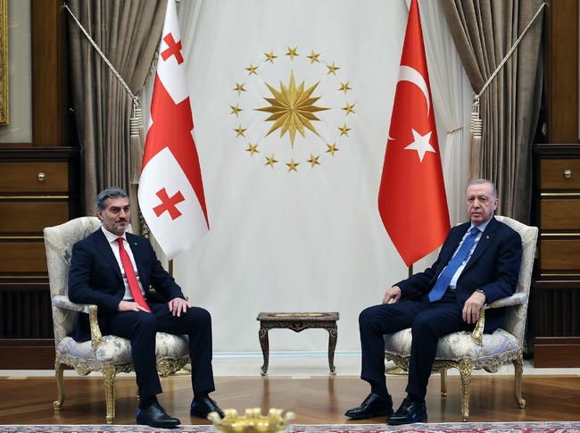 Турция - Ердоган - Кавелашвили - официално посещение