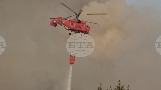 Повечето пожари в Черна гора са под контрол, най-критични са в Кучи; помощ пристига от Австрия и Унгария