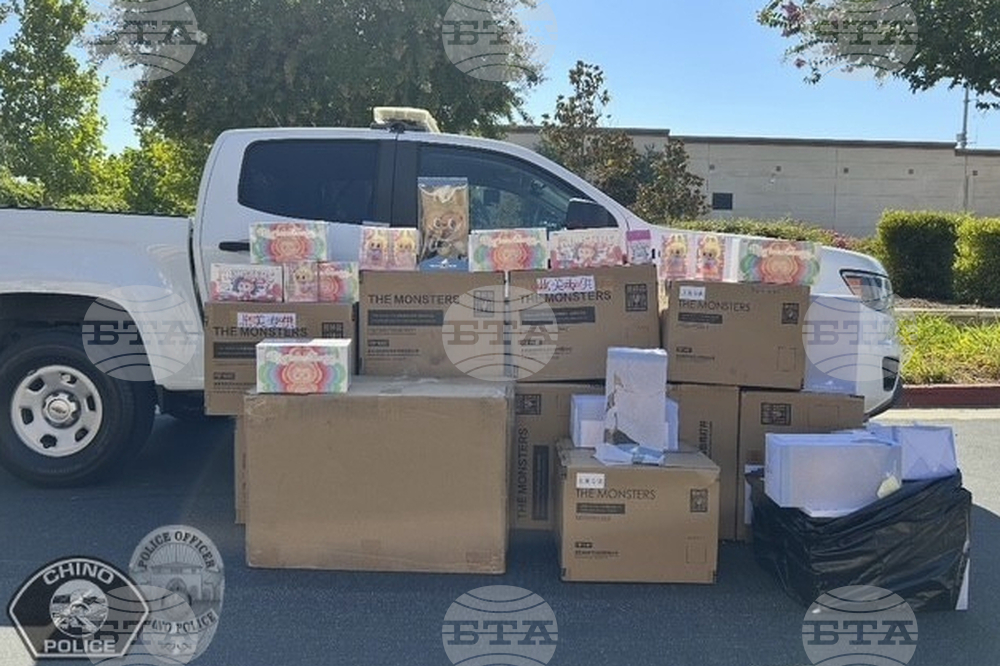 California Labubu Theft