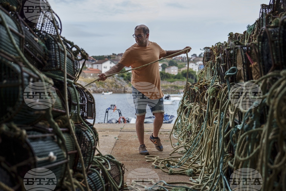 Climate Spain Overfishing Octopus