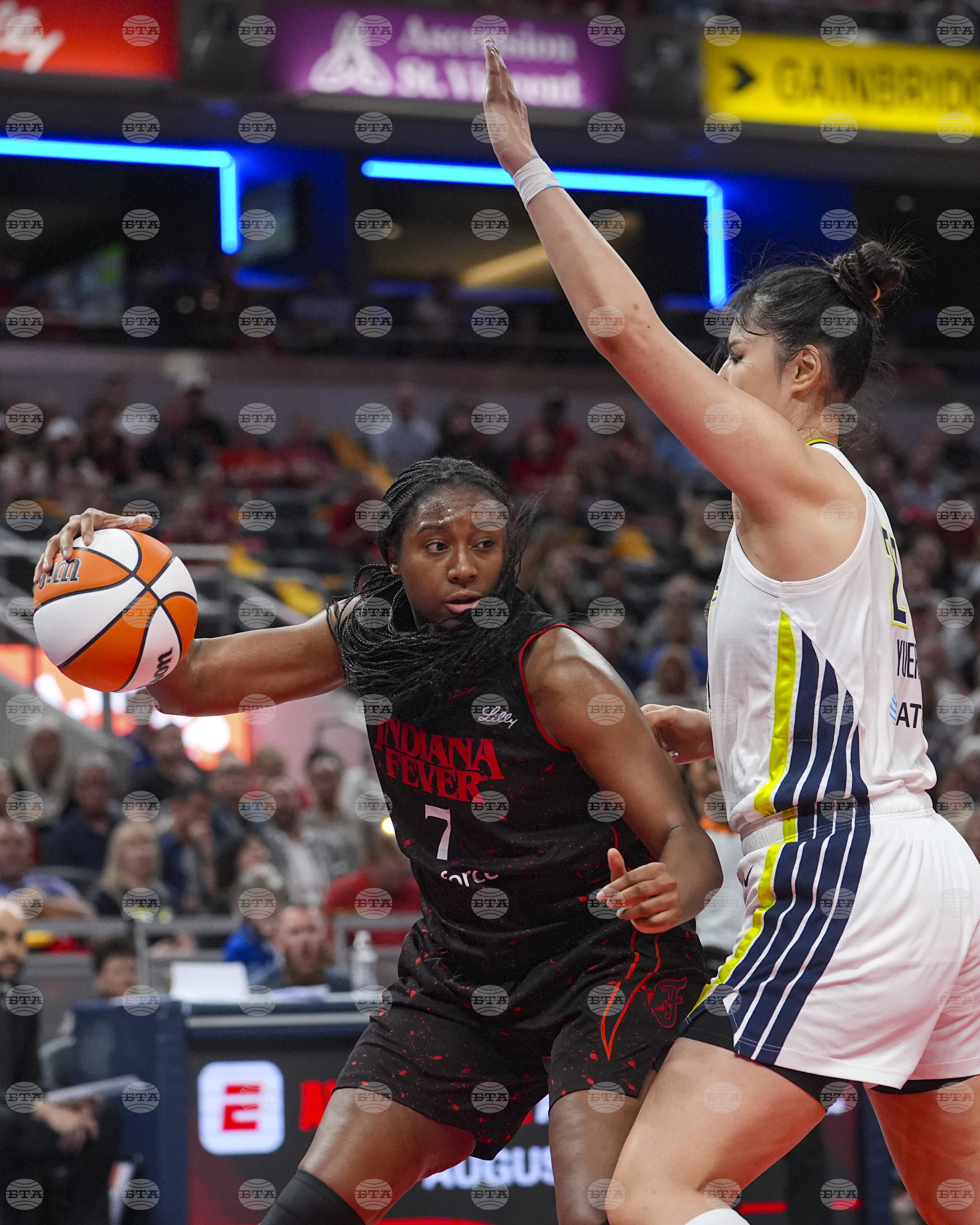 Wings Fever Basketball