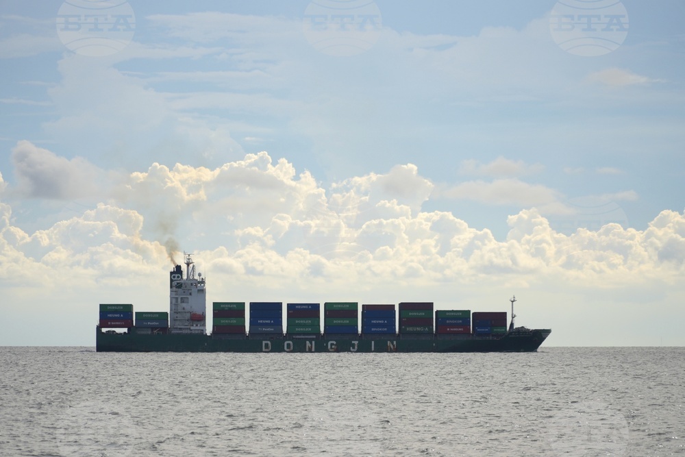 Vietnam Tiger Economy