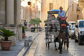 Малта - изглед