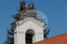 Село Равно поле - щъркели