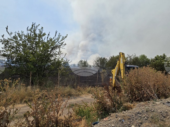 Спасени са 300 декара широколистна гора от пожар в землището на новозагорското село Пет могили