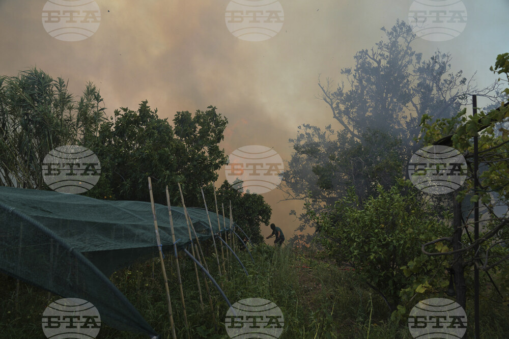 Greece Wildfires