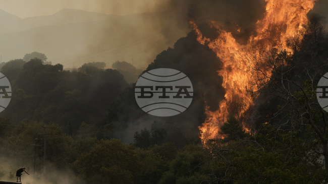 Горският пожар в югозападния албански град Делвина се разгоря отново