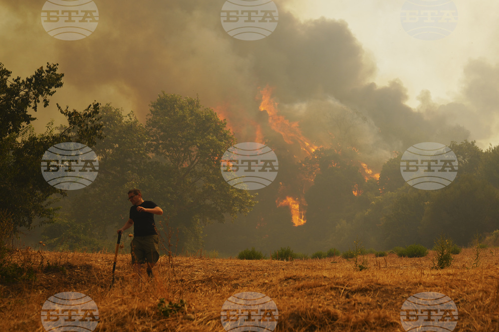 Greece Wildfires