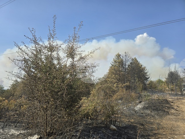 Локализиран е пожарът в района на село Илинденци