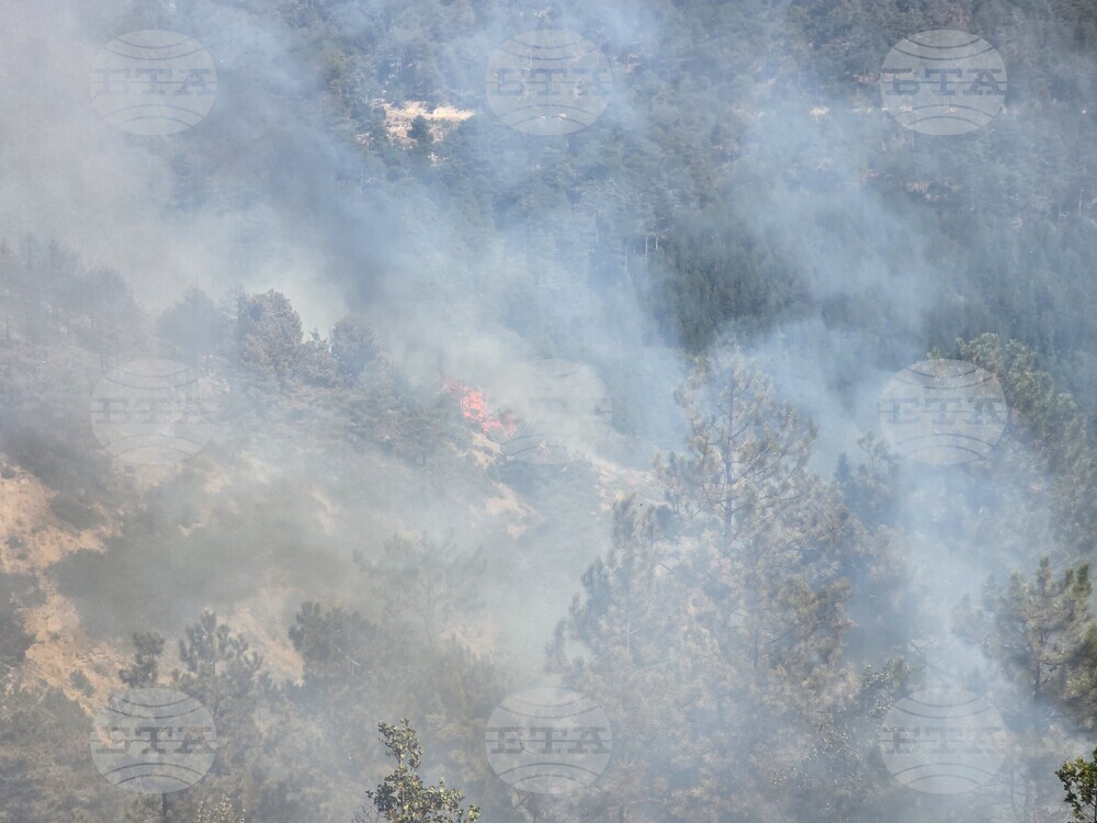 Over 150 Join Efforts to Suppress Wildfire Near Ploski in SW Bulgaria