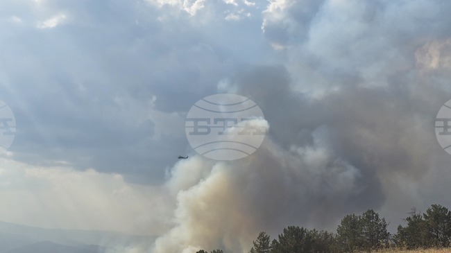 Пожар гори в района на гълъбовското село Обручище, обявено е частично бедствено положение