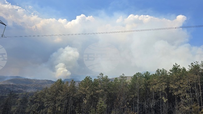 Горски пожари бушуват в турските окръзи Чанаккале и Мерсин; евакуирани са няколко населени места