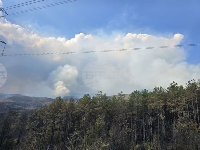 Пожар е пламнал в местност над санданското село Вълково, каза за БТА кметът на населеното място Антон Ханджийски