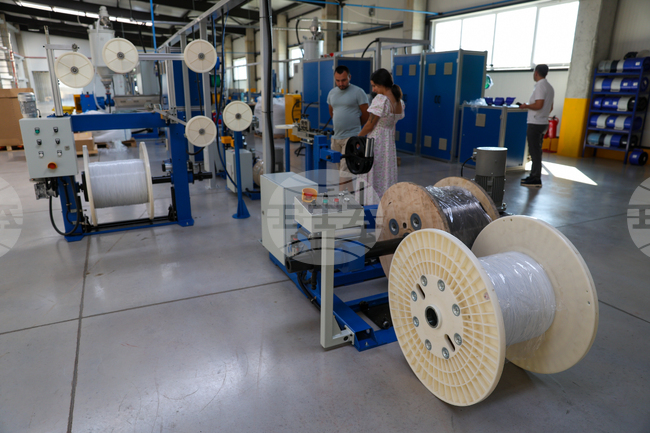 Bulgaria's Q2 Jobless Rate at 3.6%, Down 0.7 pp on Year