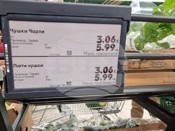 Търговище - търговски обекти - цени в лев и евро