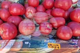 Търговище - търговски обекти - цени в лев и евро