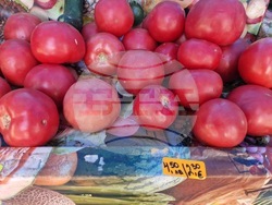 Търговище - търговски обекти - цени в лев и евро