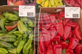 Търговище - търговски обекти - цени в лев и евро
