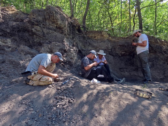 Учени откриха нови кости от динозаври край град Трън