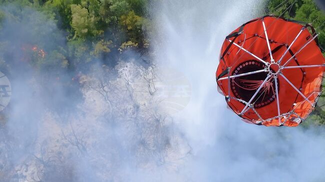 УАМ: Пожарникари от ОАЕ започнаха операции за борба с горските пожари в Албания