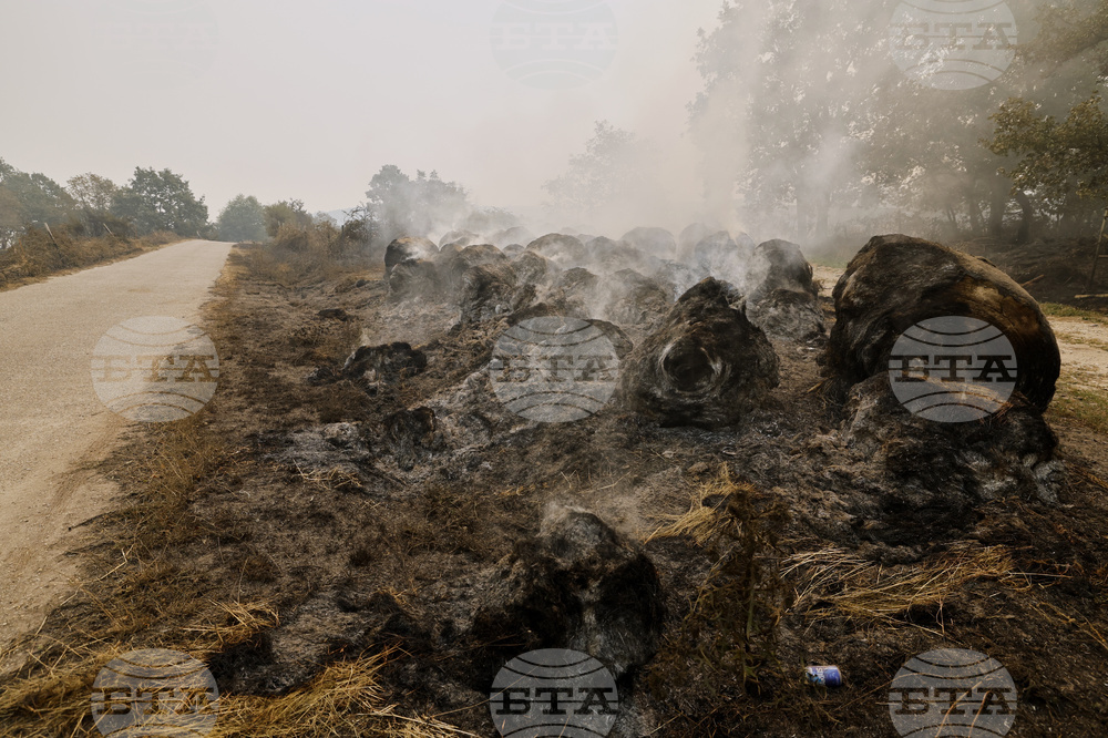 Spain Fires