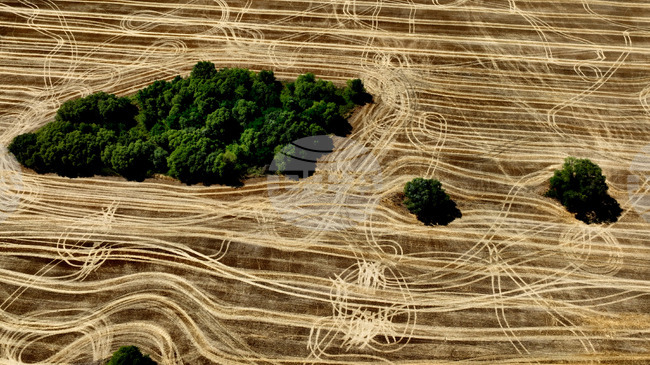 Over EUR 79.3 Mln Disbursed to Farmers under Complementary Redistributive Income Support for Sustainability for 2025 Campaign