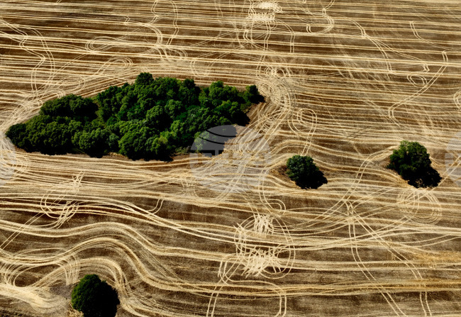 Over EUR 79.3 Mln Disbursed to Farmers under Complementary Redistributive Income Support for Sustainability for 2025 Campaign