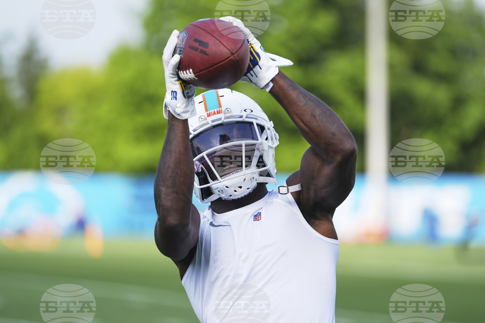 Dolphins Lions Football