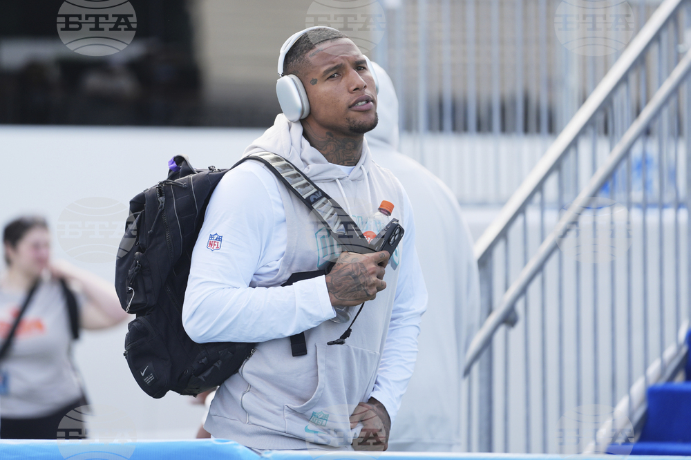 Dolphins Lions Football