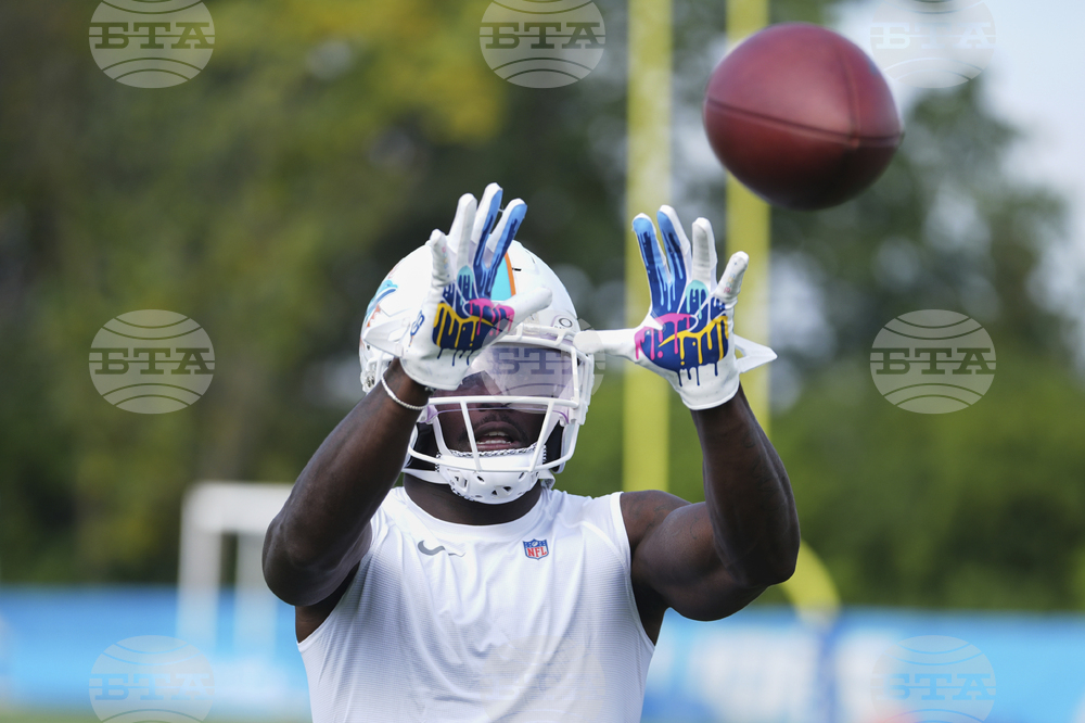 Dolphins Lions Football