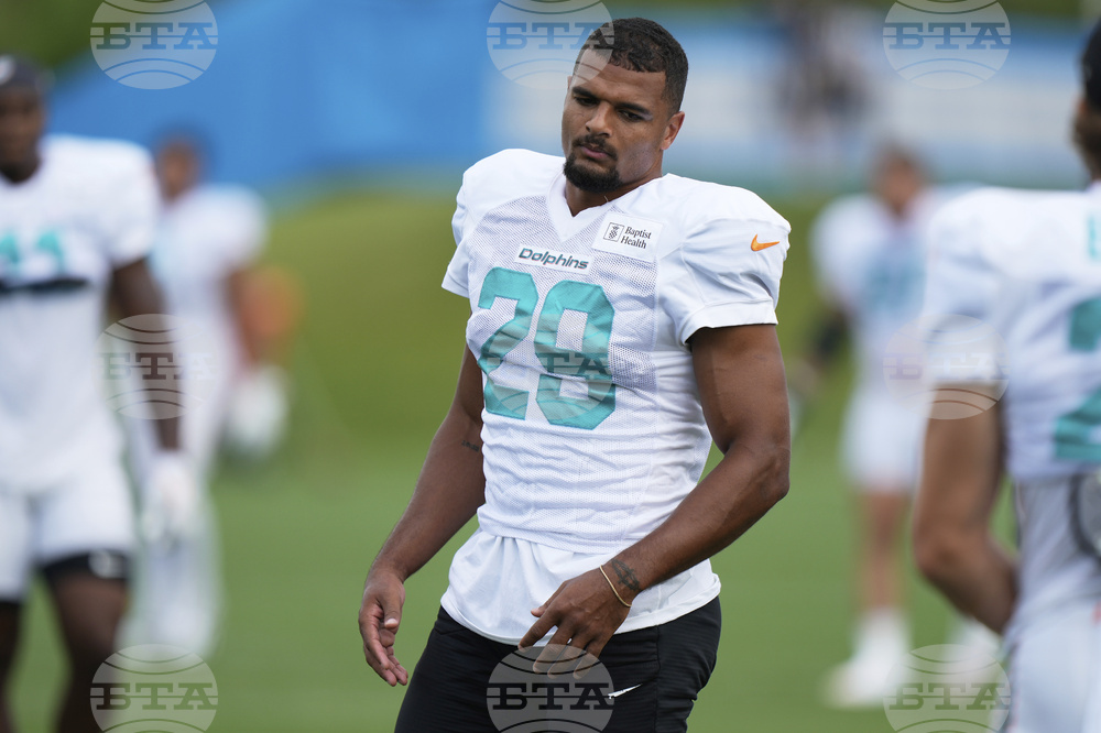 Dolphins Lions Football
