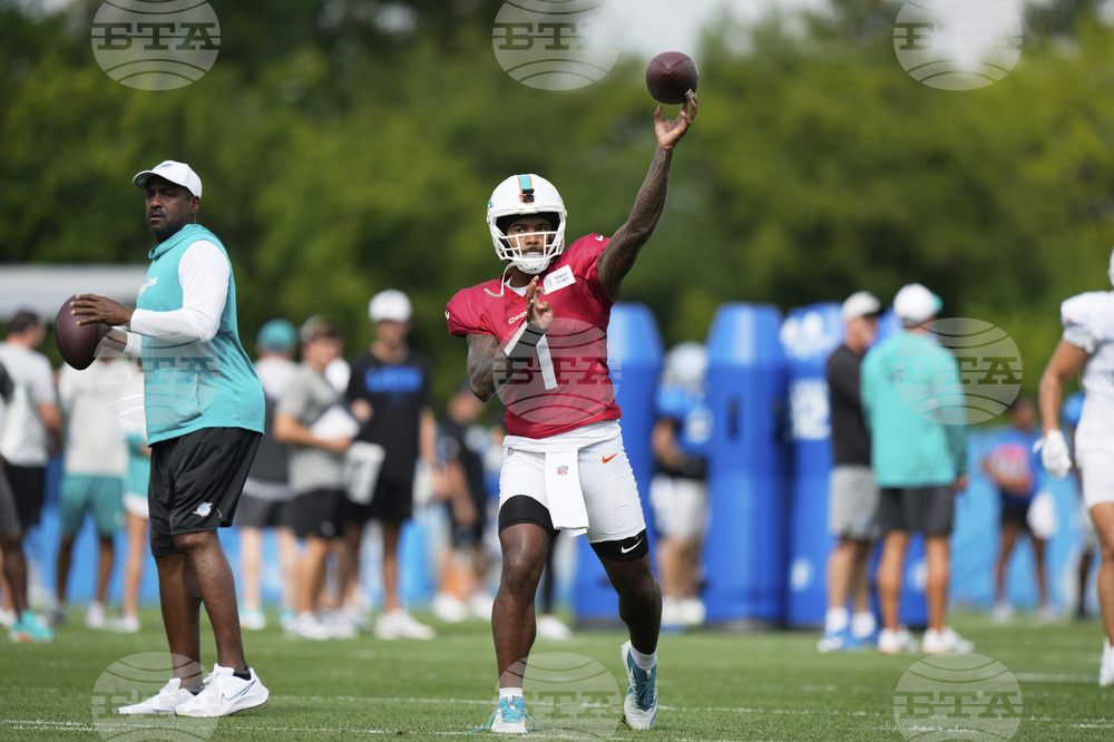 Dolphins Lions Football