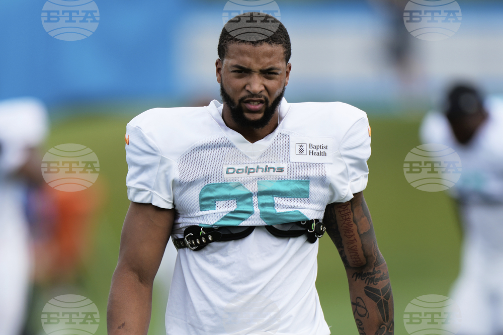 Dolphins Lions Football