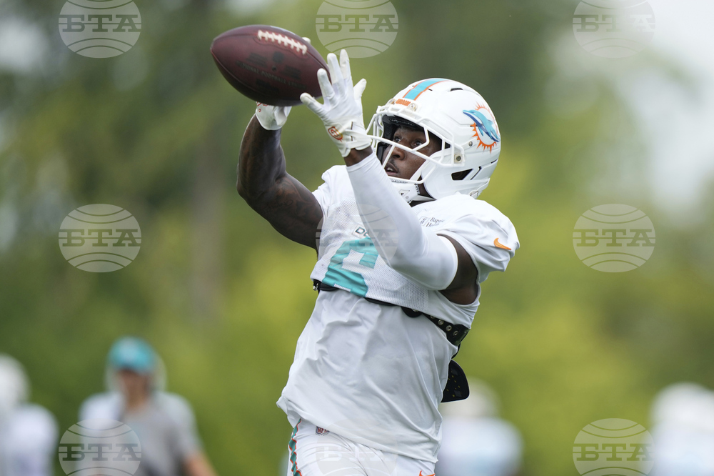 Dolphins Lions Football