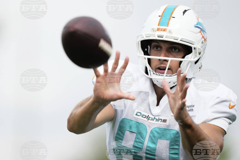 Dolphins Lions Football