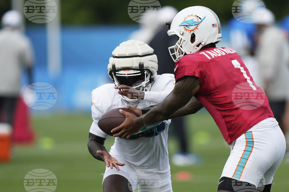 Dolphins Lions Football