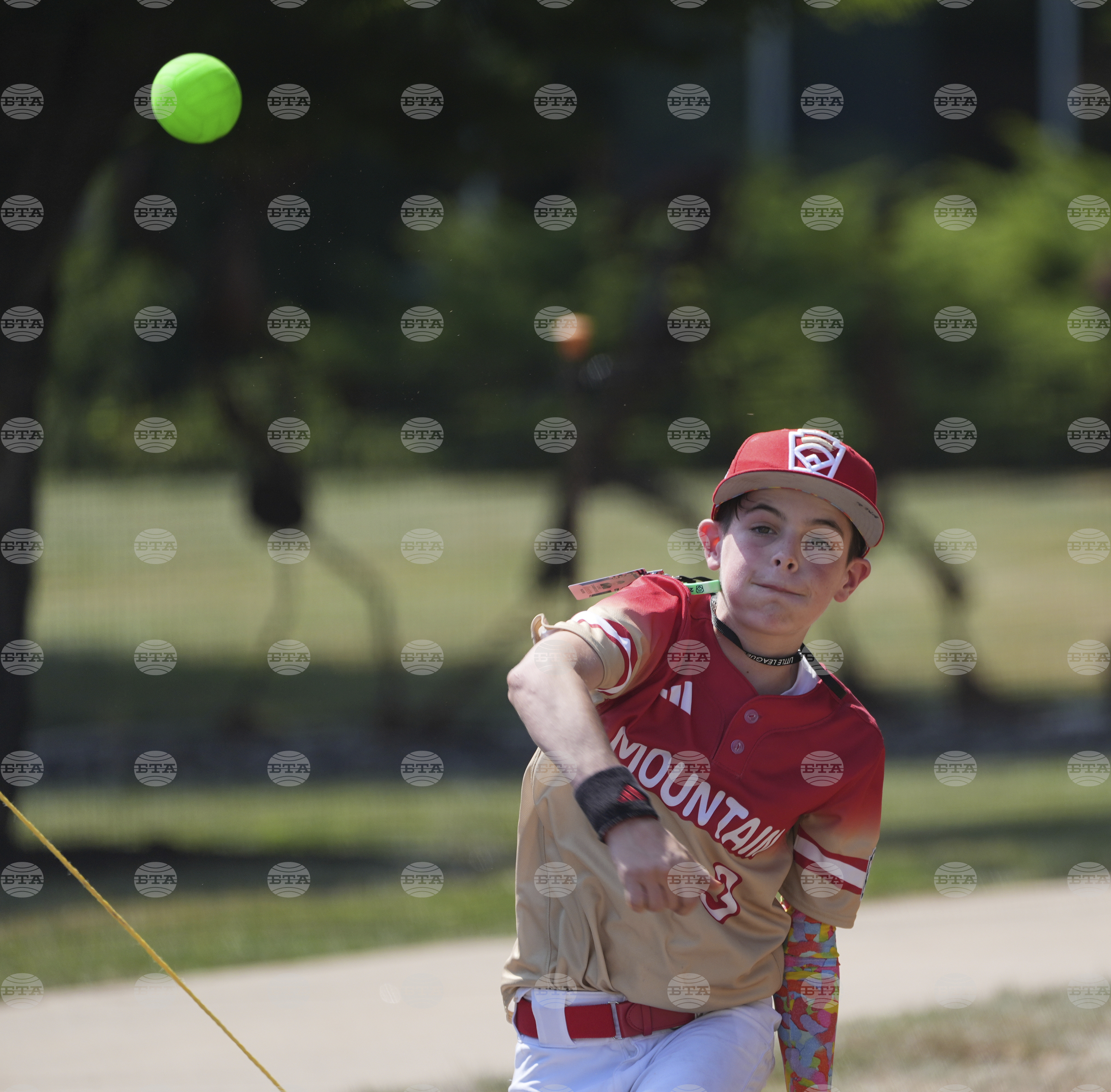 LLWS Baseball Picnic