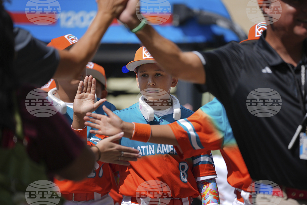 LLWS Baseball Picnic